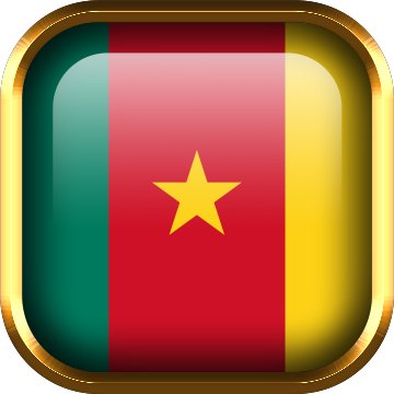 Import policy of Cameroon