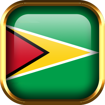 Import policy of Guyana